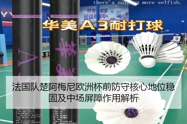法国队楚阿梅尼欧洲杯前防守核心地位稳固及中场屏障作用解析 - pg